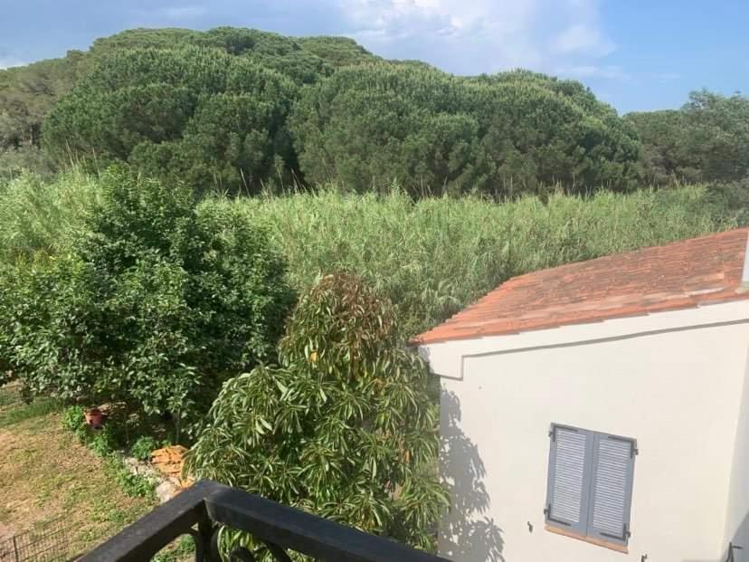 Appartement Independant Dans Villa, Entre Frejus Et St Raphael Exteriör bild